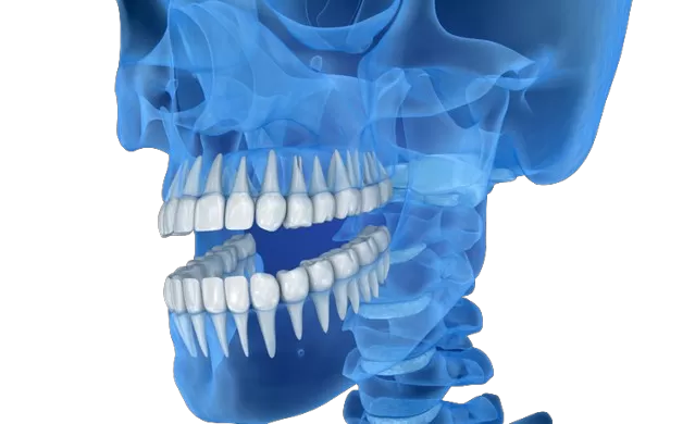 Transform Dental Precision with RAYSHAPE 3D Printers Transform Dental Precision with RAYSHAPE 3D Printers