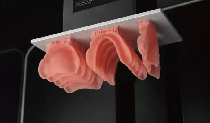 Denture Base Resin: DT Pink Denture Base Resin: DT Pink